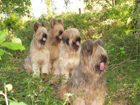 Timba, Mendi, Indar y Gora