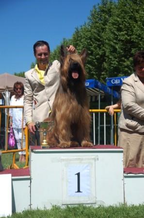 TOP BRIARD 2009